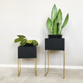Nevi the plantbox Schwarz, Gold M