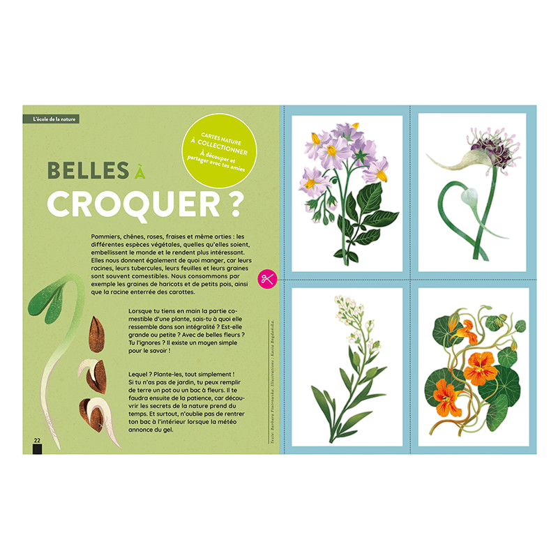 Kaleio No. 3: Terre, je t'aime