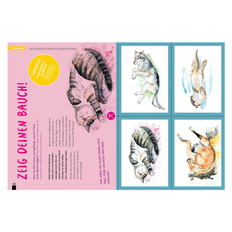 Kaleio Nr. 4: Stehaufmädchen