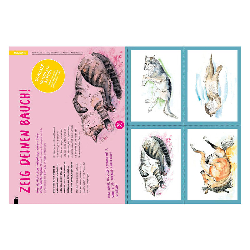 Kaleio No. 4: Rebondir