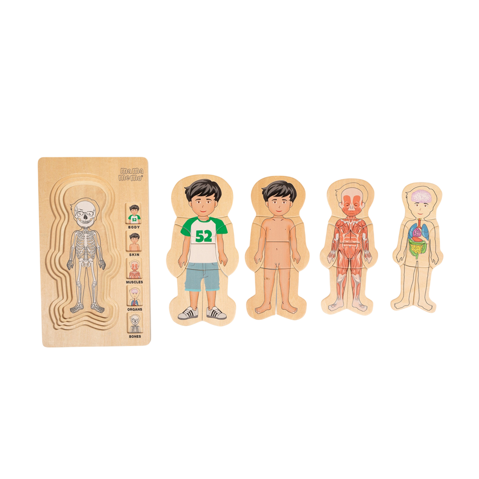 My Body - Puzzle - Boy
