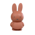 Tirelire Miffy moyenne - Terra
