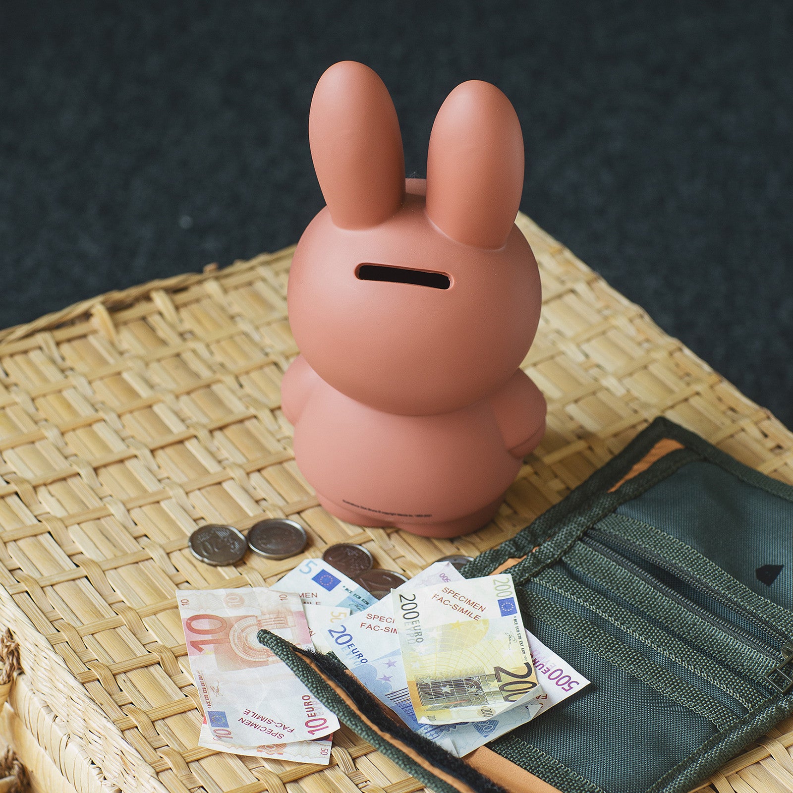 Tirelire Miffy moyenne - Terra