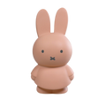 Tirelire Miffy moyenne - Powder