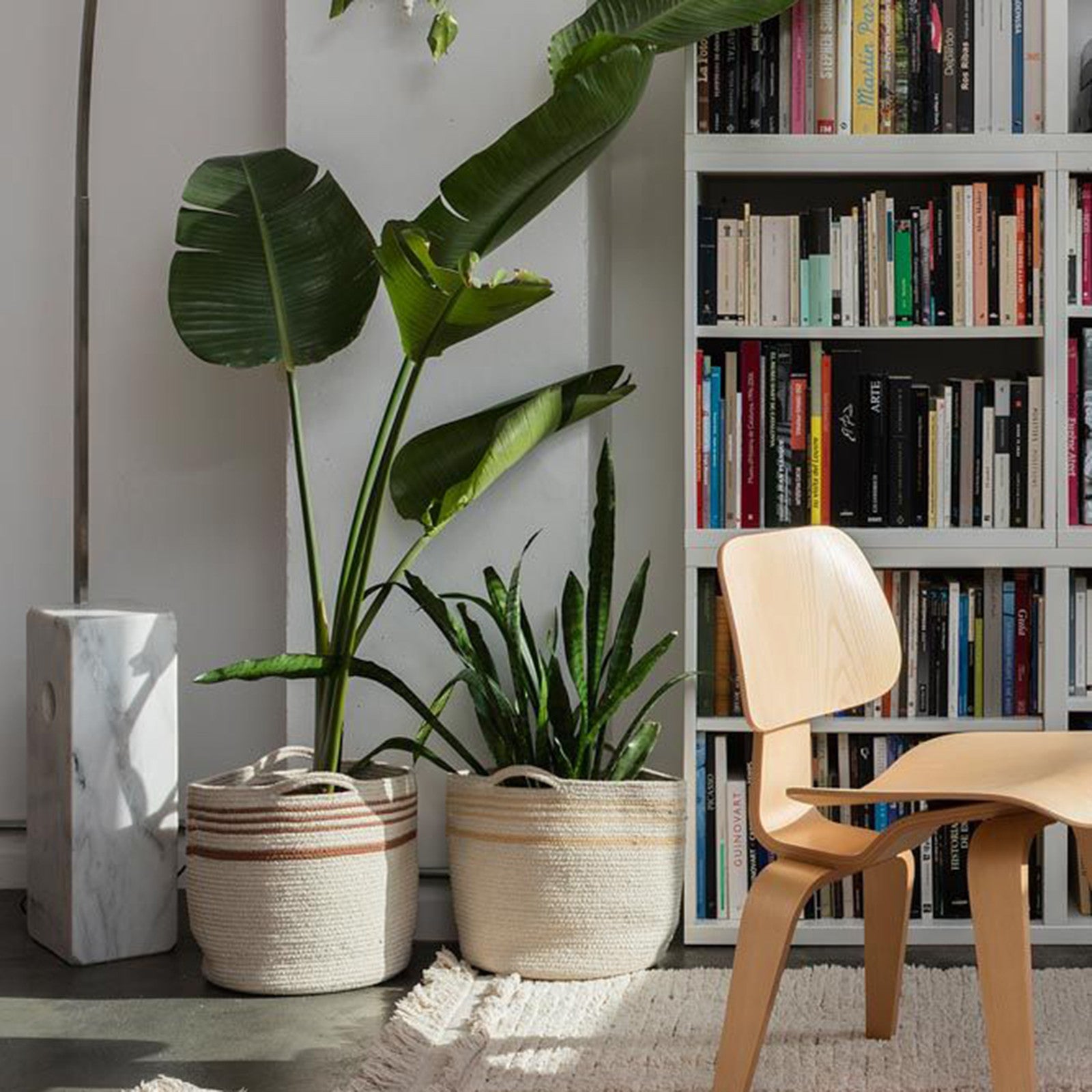Twin Toffee storage basket