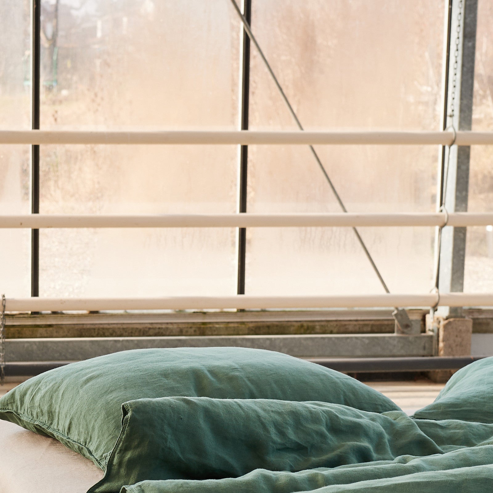 Lotta, forest, taie d'oreiller 50x70 cm