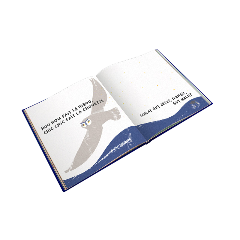 Livre Bonne Nuit la Suisse