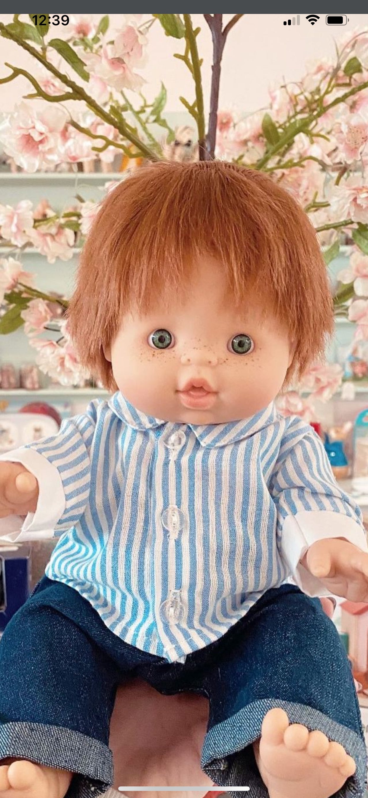 Gordis: Doll Raphaël