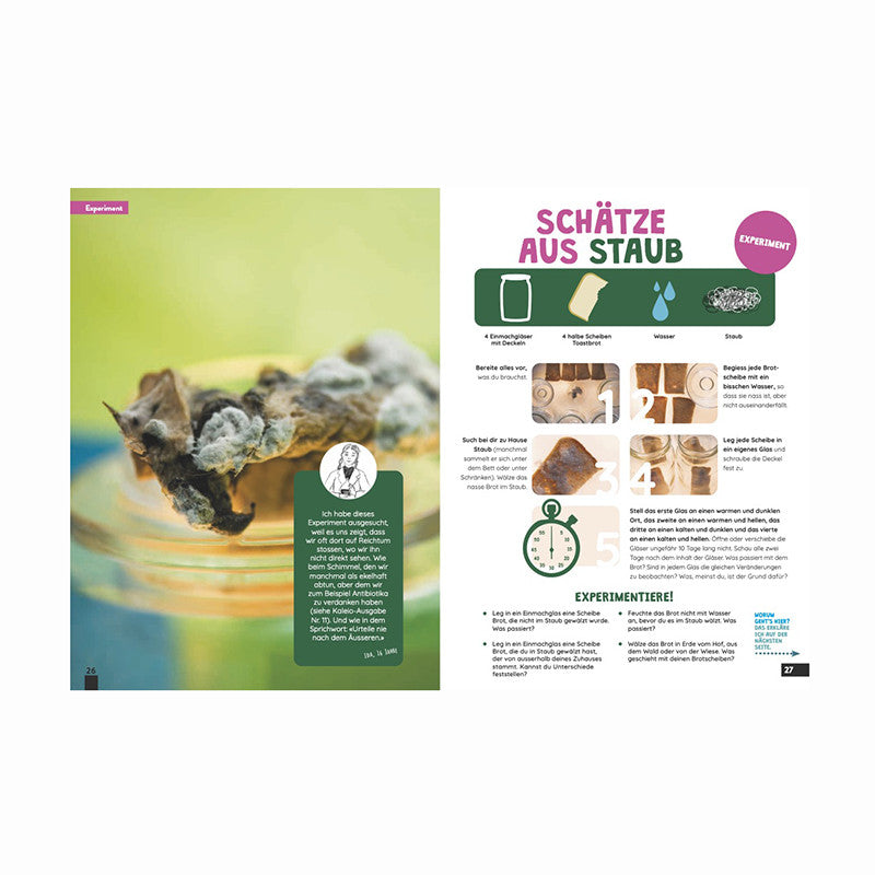 Kaleio Nr. 12: Reichtum