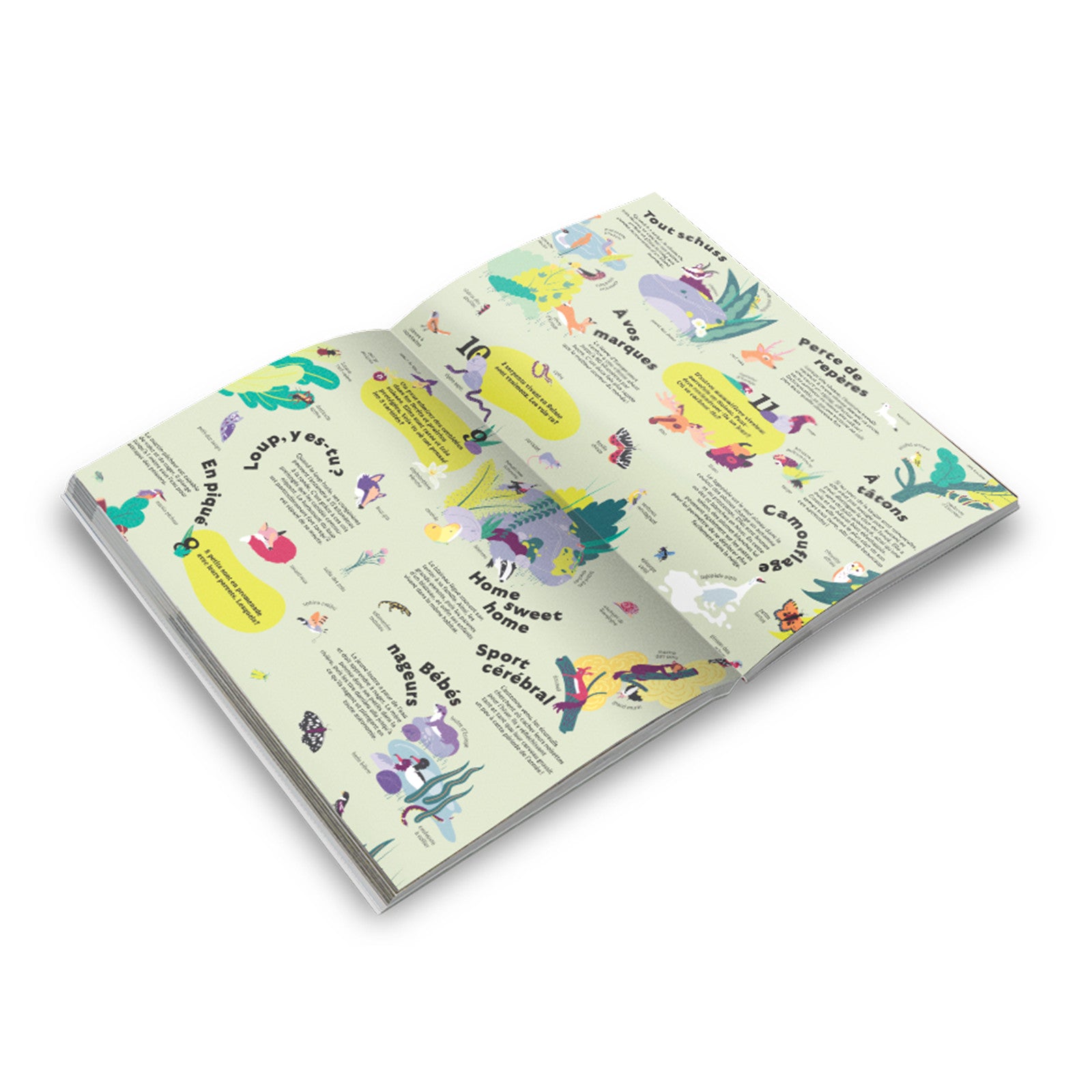 Livre Nom d'une marmotte