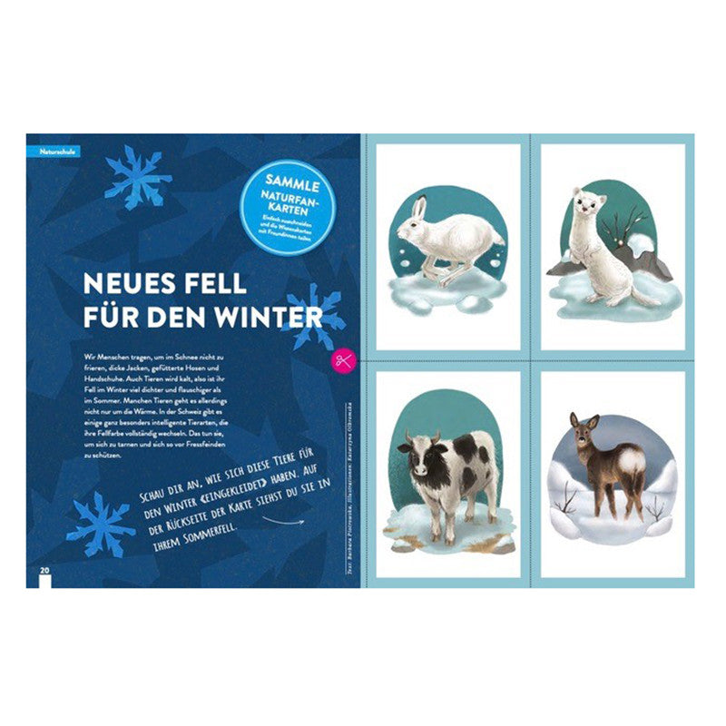 Kaleio Nr. 13 Greif nach den Sternen