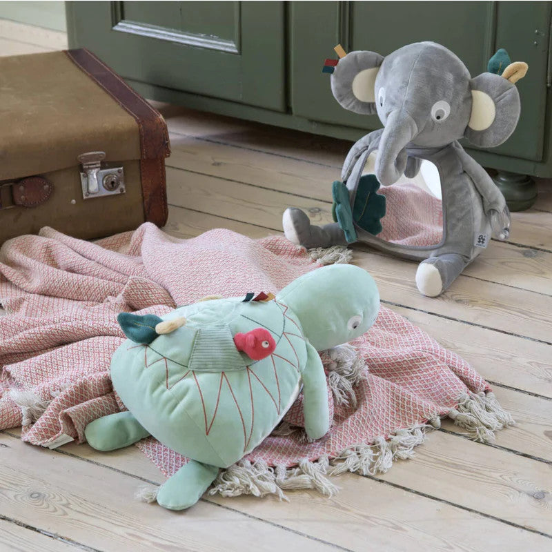 Jouet d'activité Tortue Turbo Vert