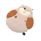 Baby Aktivitätsspieldecke Blinky die Eule Beige