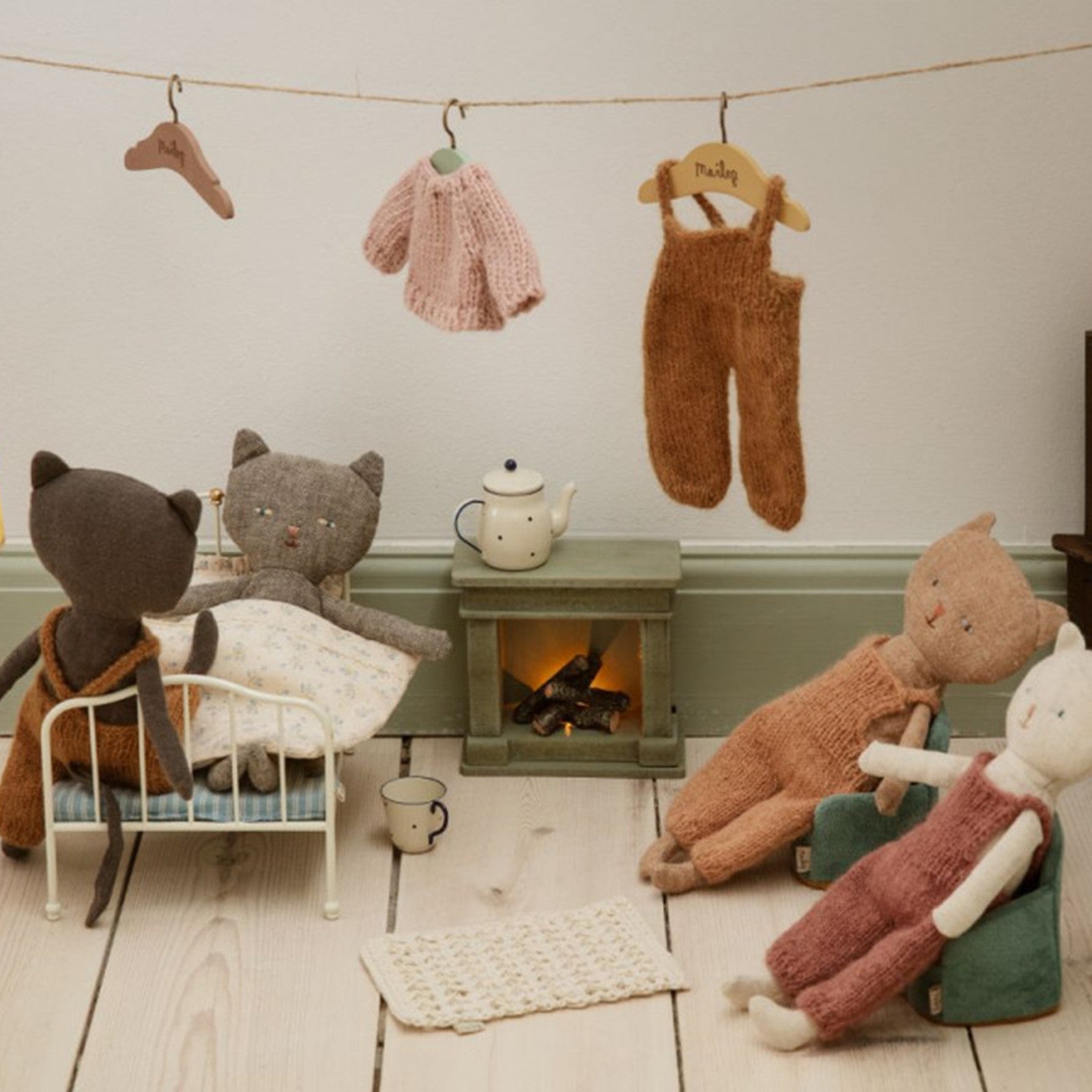 Kitten Chatons Mimi Gray