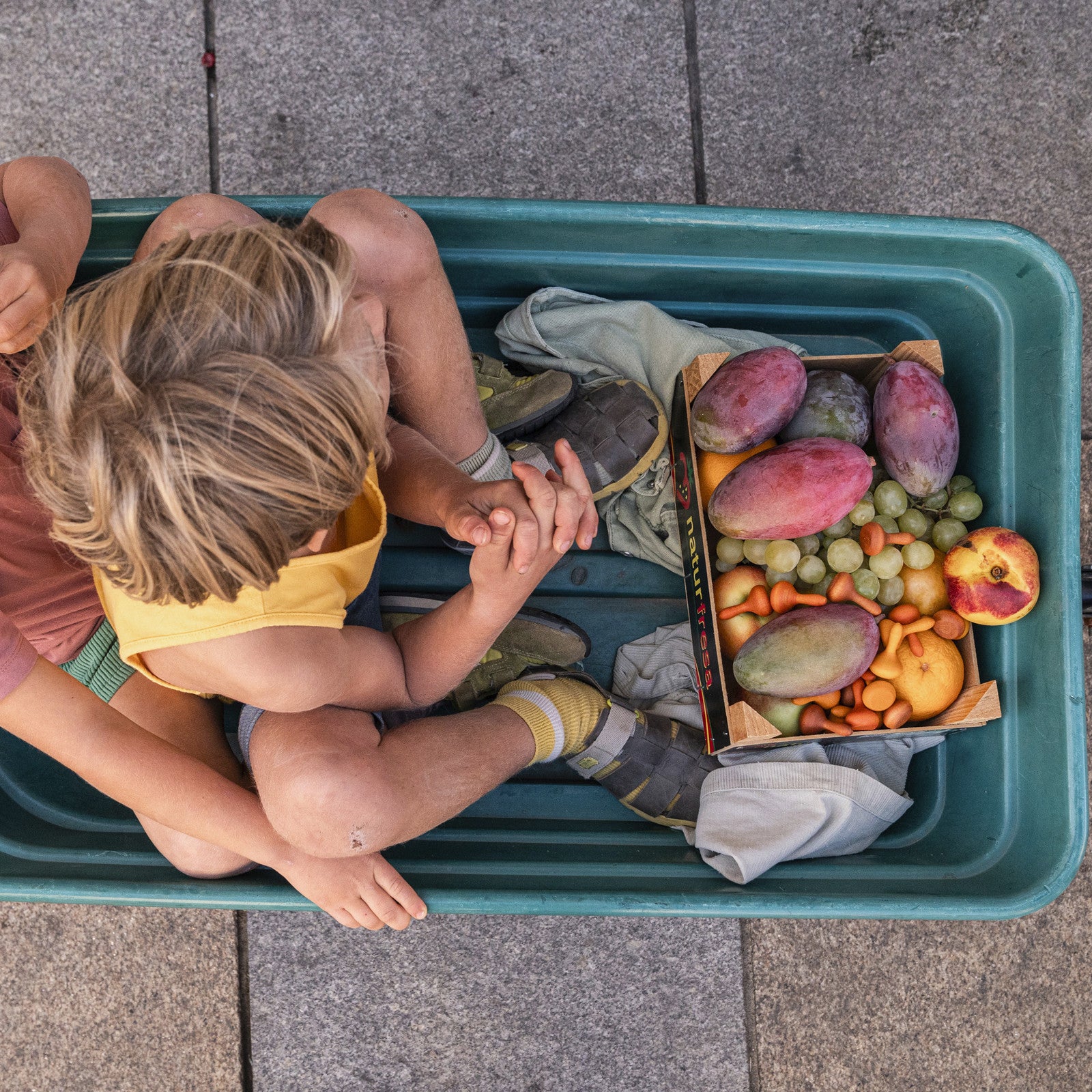 Mandala 36 citrouilles Grapat