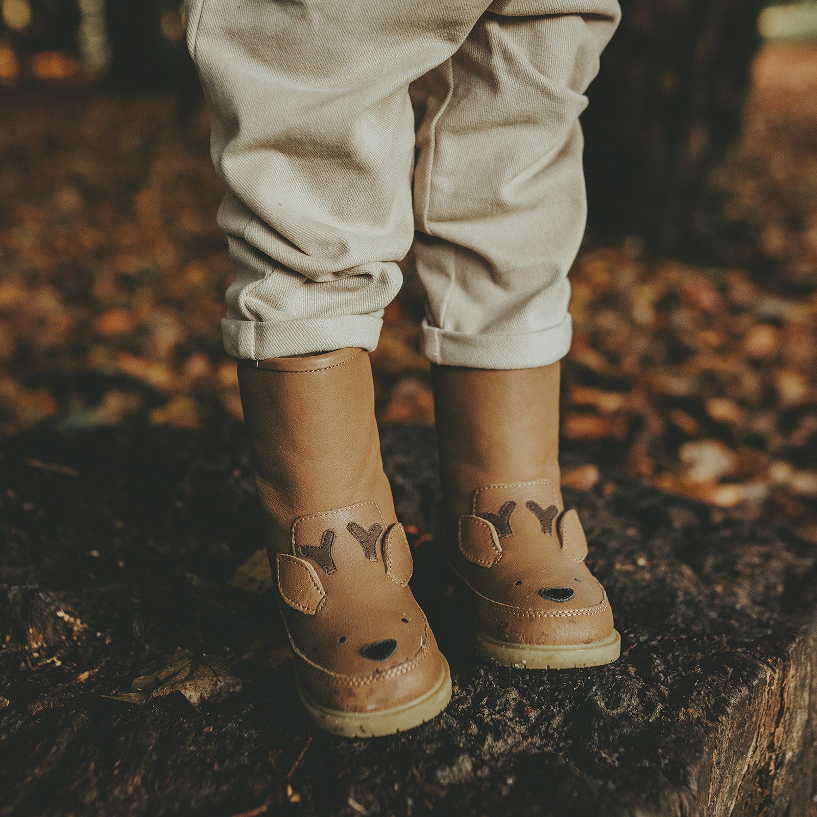 Bottes Wadudu Stag Chestnut Leather