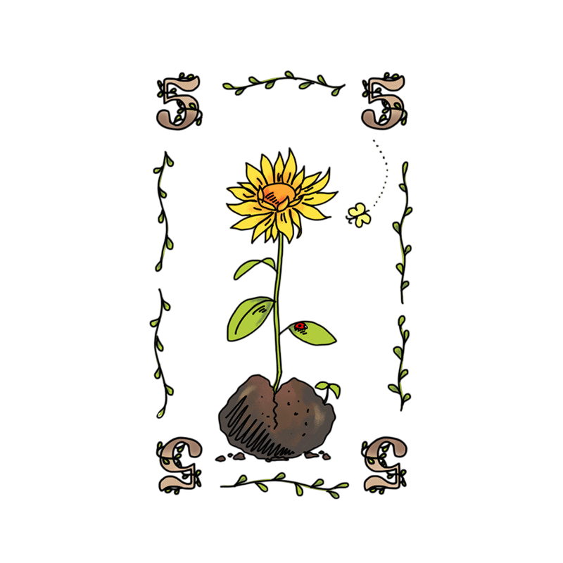 Kartenspiel Flora mit Wildblumen Seedball