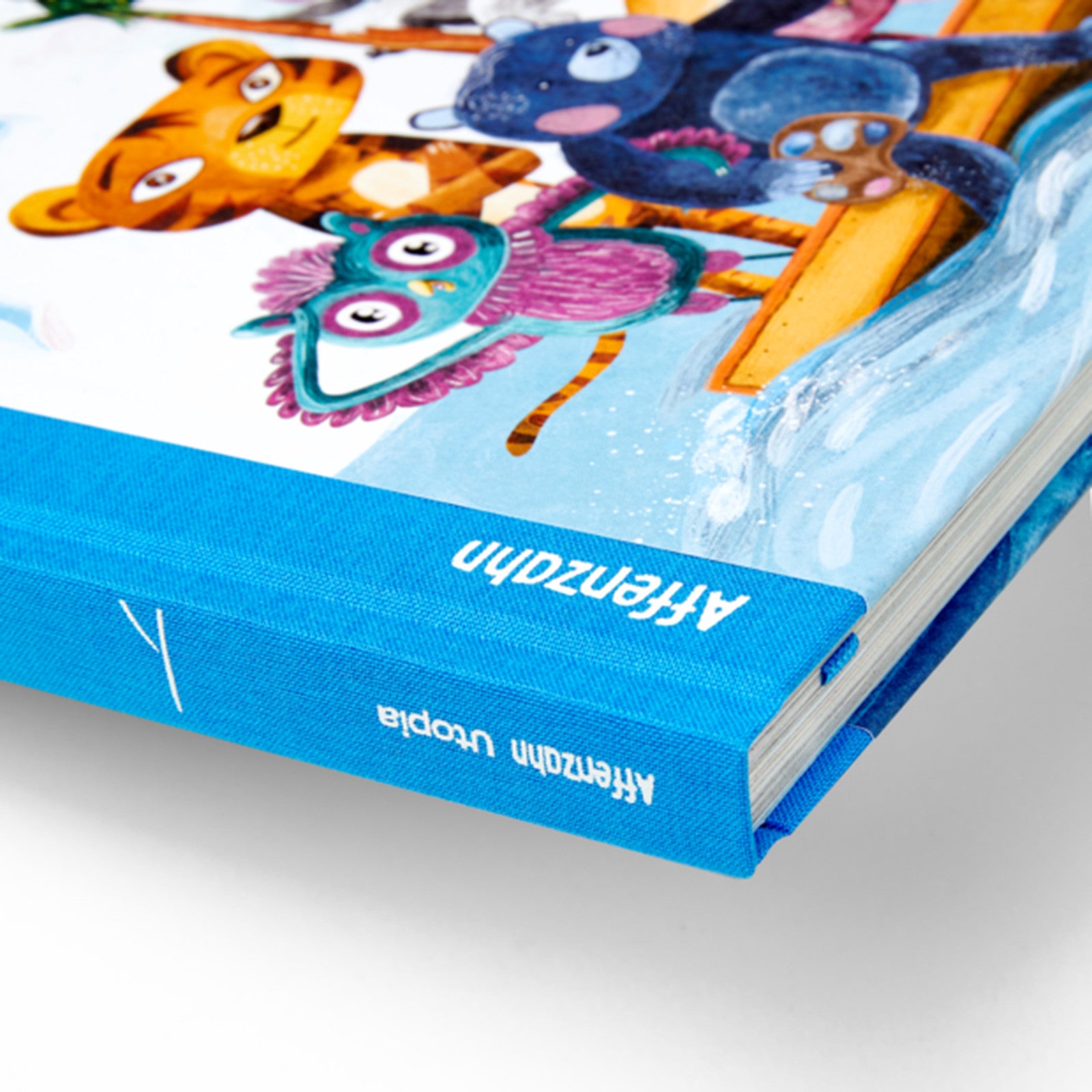 Kinderbuch Der Drachenfrosch