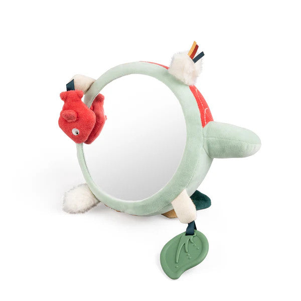 Jouet d'activité Tortue Turbo