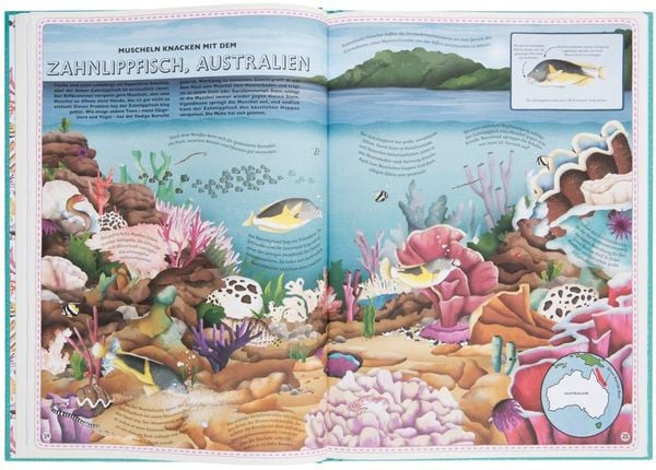 L'atlas des océans