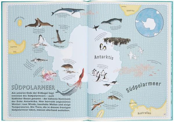 L'atlas des océans