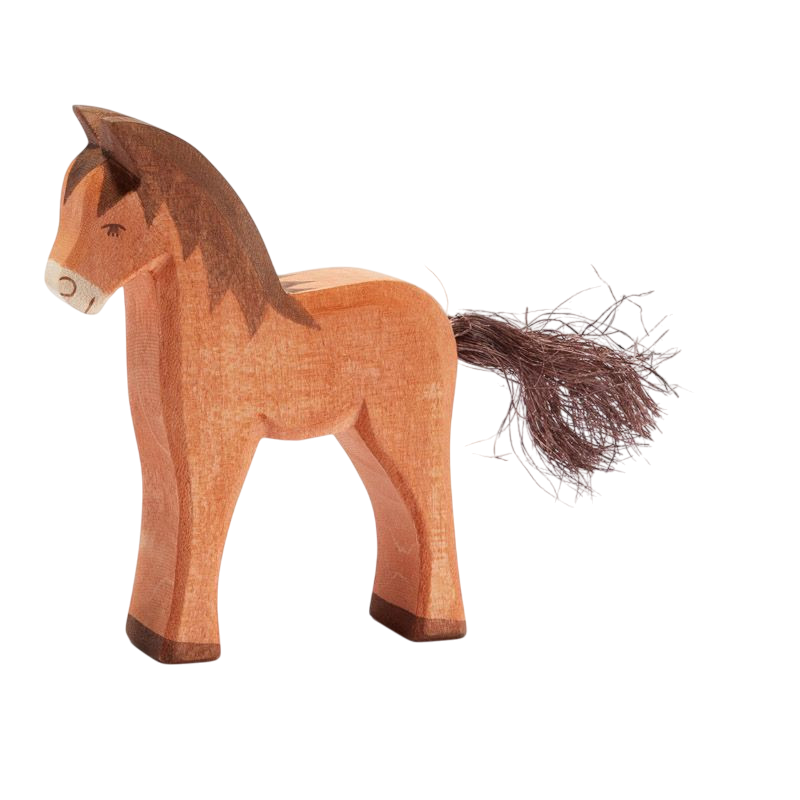 Ostheimer foal brown