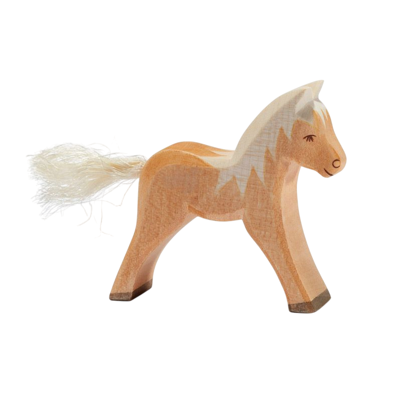 Poulain Haflinger d'Ostheimer