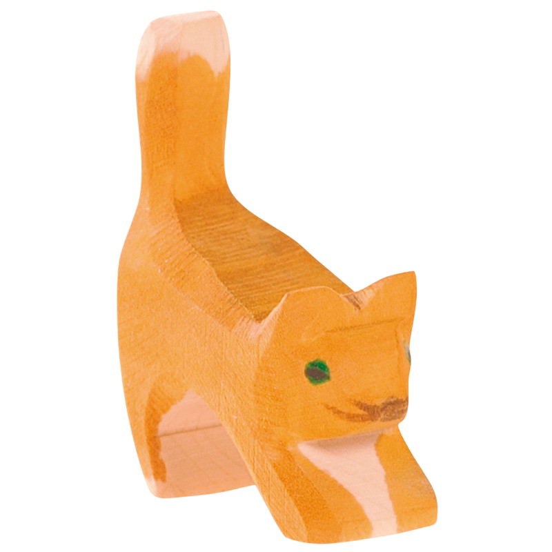 Ostheimer Chat Petit Tête Basse