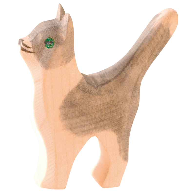 Ostheimer Katze klein Kopf hoch