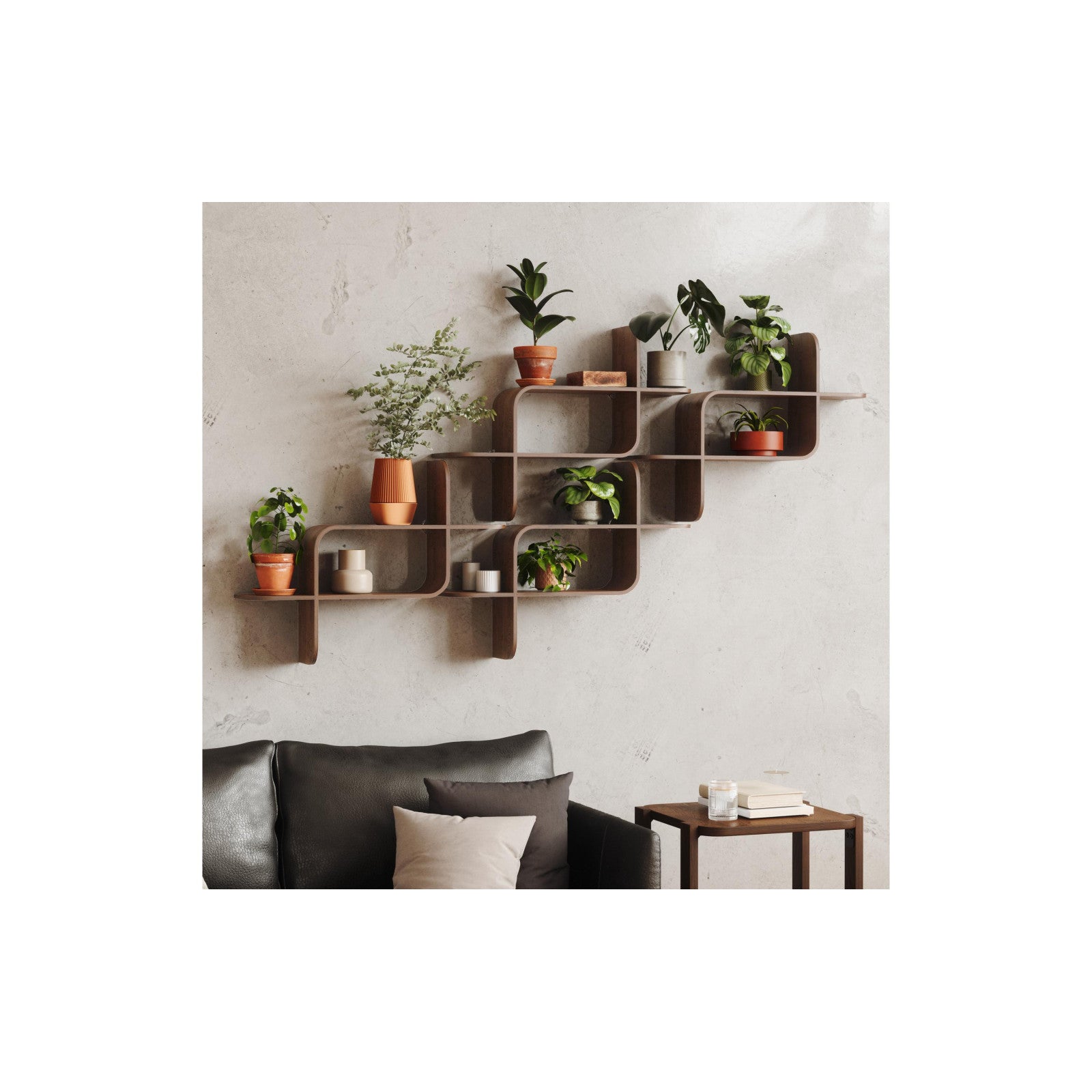 Wall shelf assembly, walnut