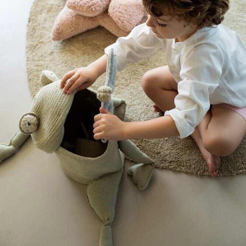 Fred the Frog storage basket