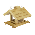 Bird feeder nature
