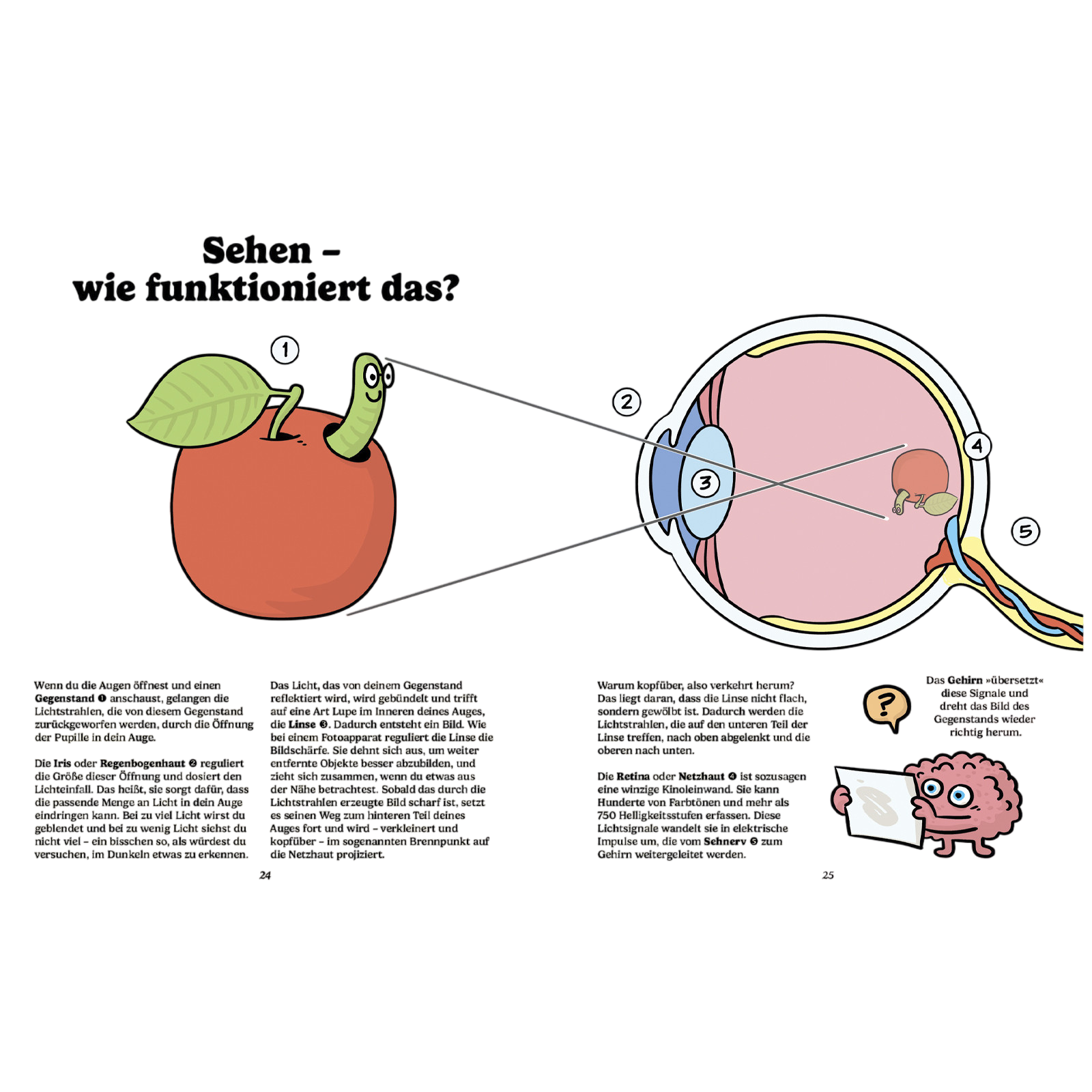 Book Brilliant Glasses