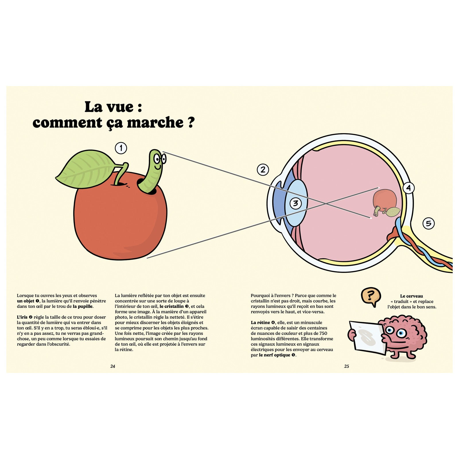 Livre Mes lunettes super chouettes