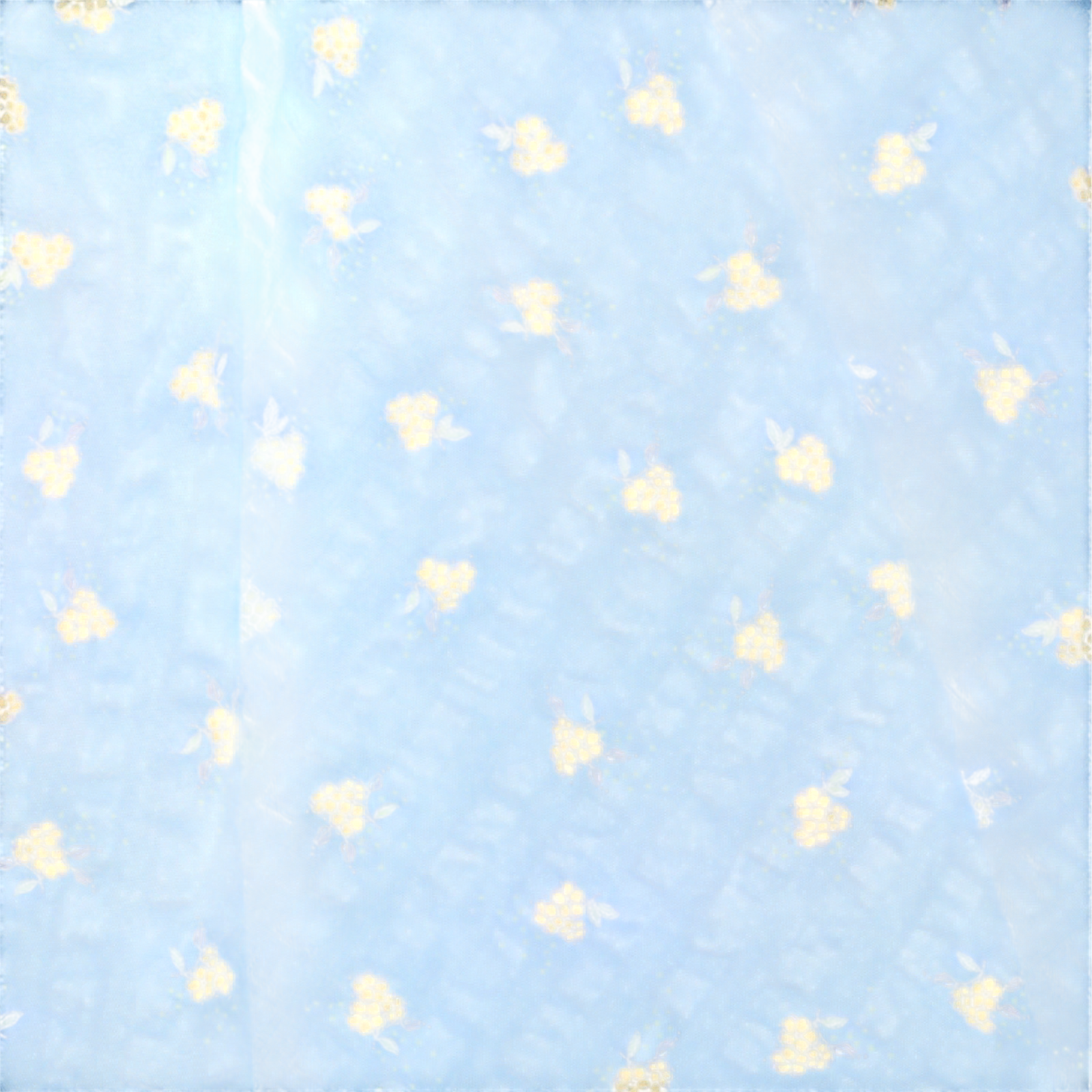 Rock Kim Billie Blue