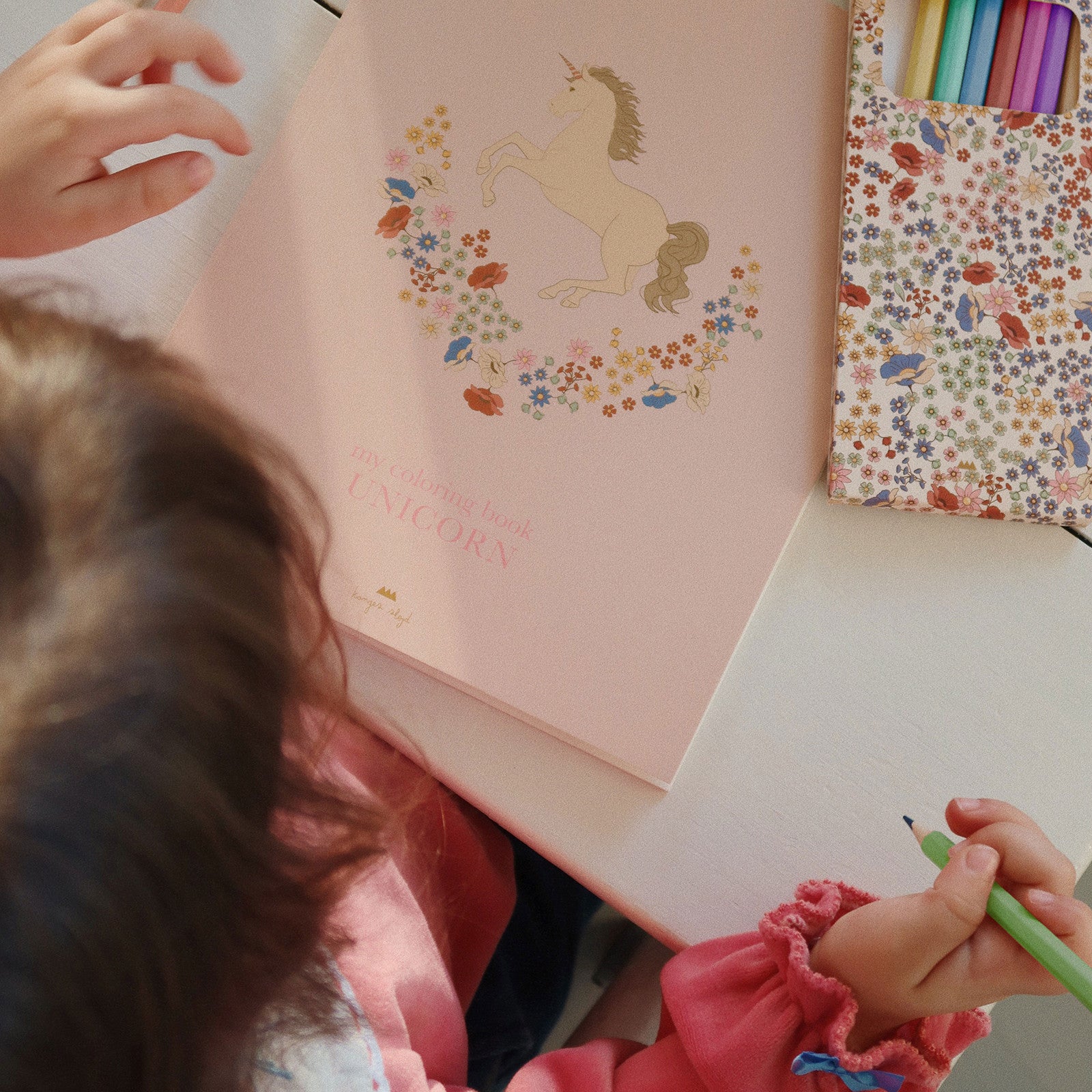 Painting set unicorn