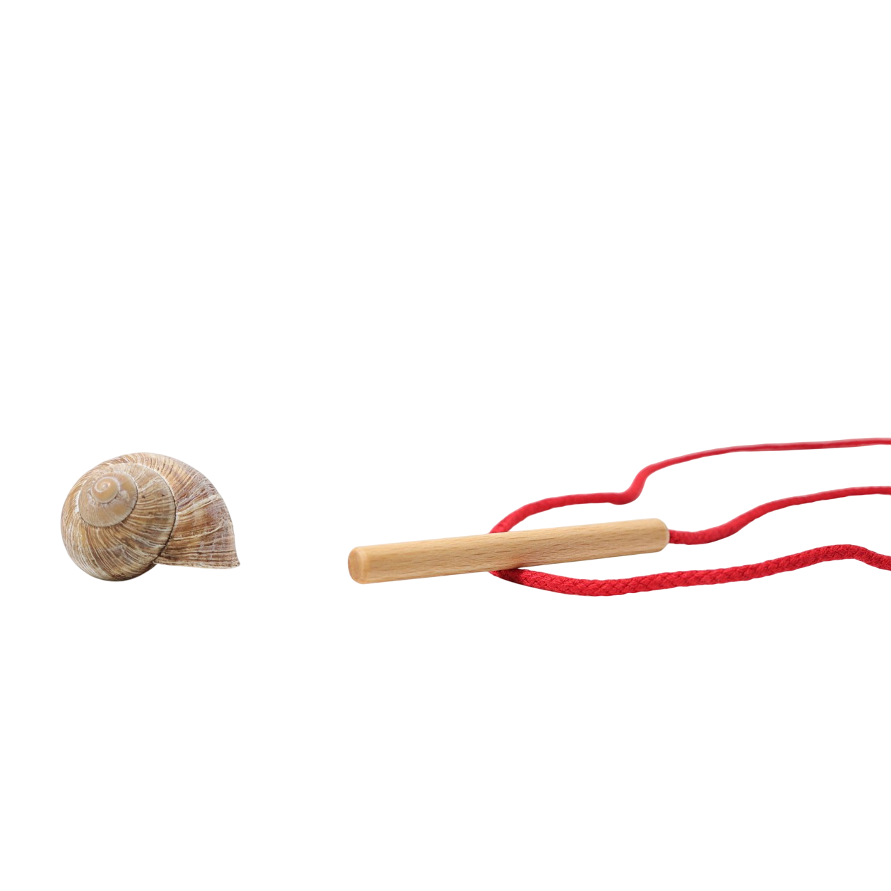 L'aiguille en bois de GRIMM