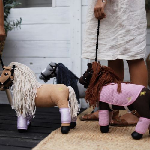 Mini-Pferd Pixie Braun