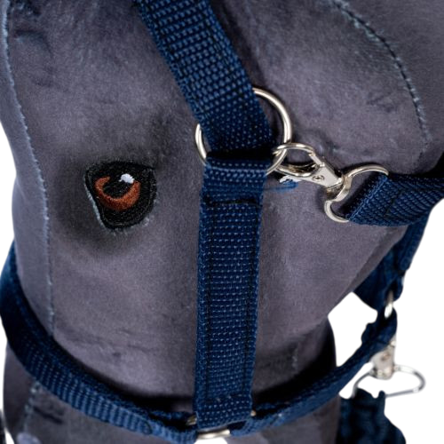 Hobby horse halter and lead rope Blue