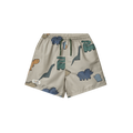 Short de bain Duke avec imprimé Dinosaurs Mist