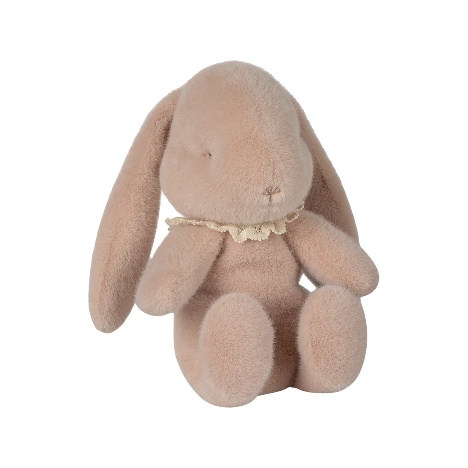 Oeuf de Pâques avec lapin Powder