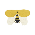 Costume Ailes d'abeille