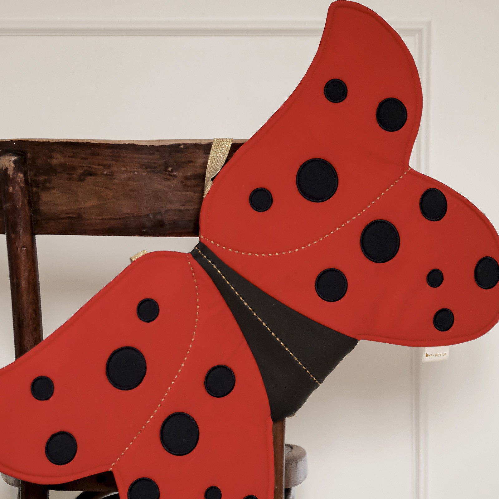 Costume Coccinelle