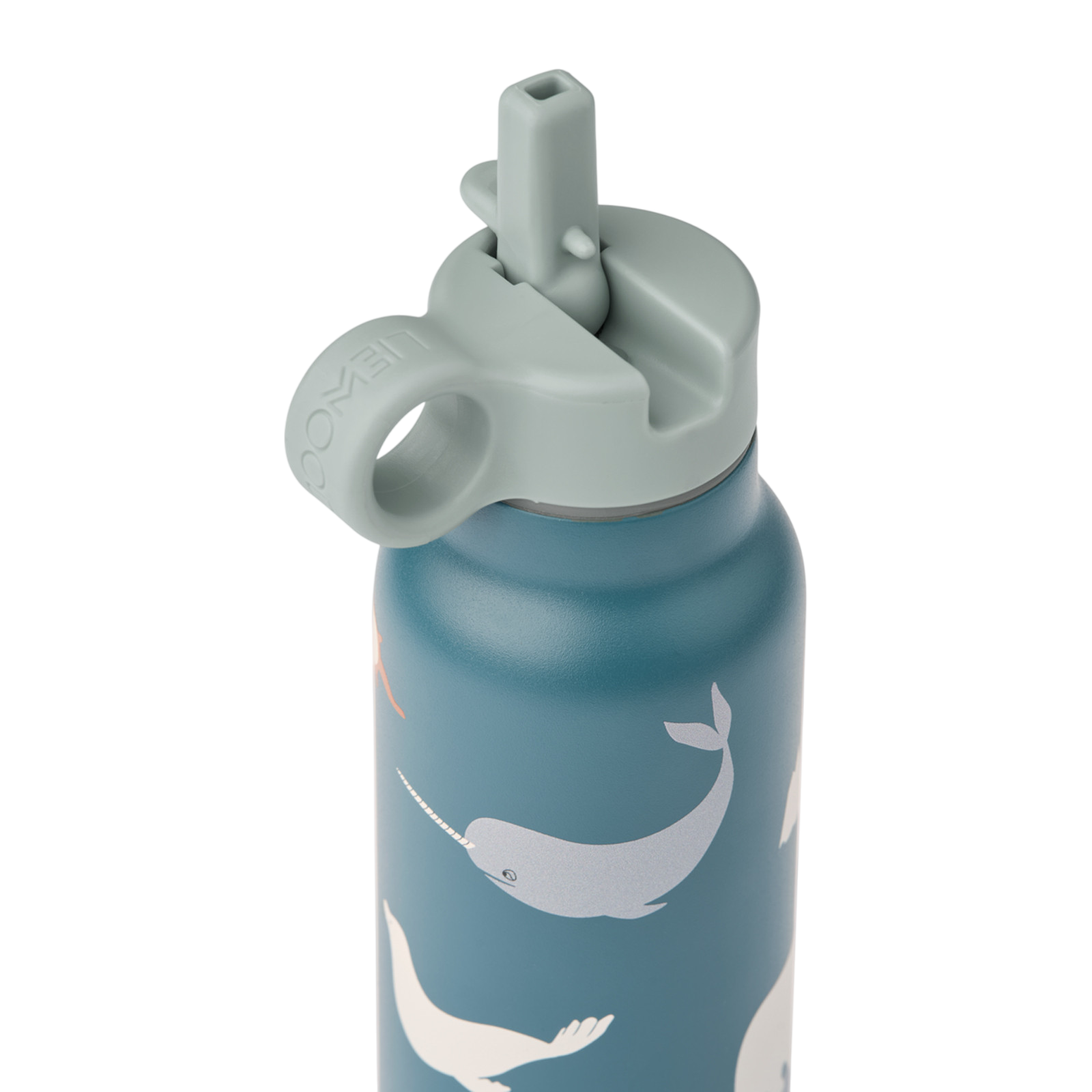 Gourde Falk Arctic Sea Ocean View