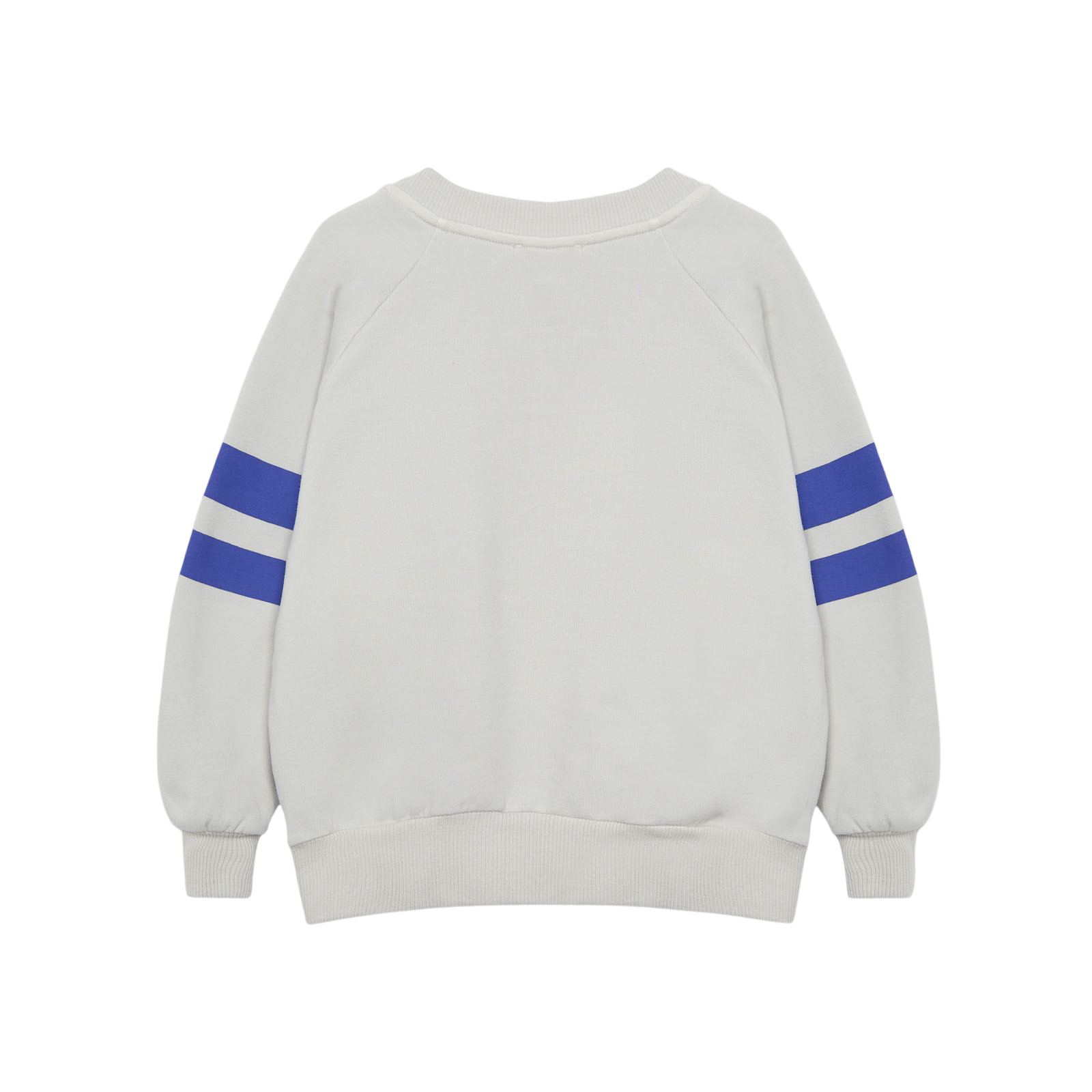 Winter Garden Stripes Pearl Gray sweatshirt