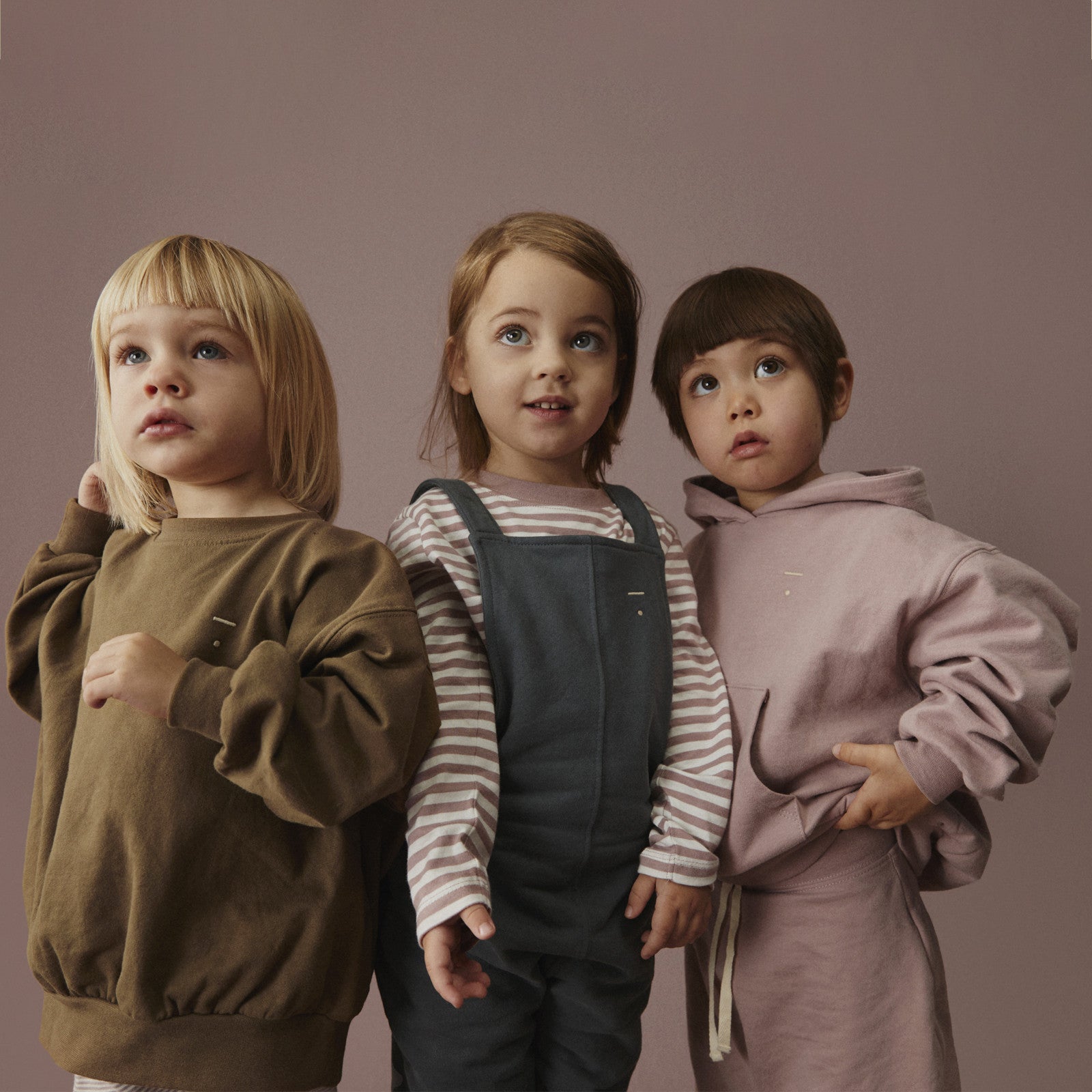 Hoodie New Fit Berry