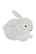Tapis Lapin