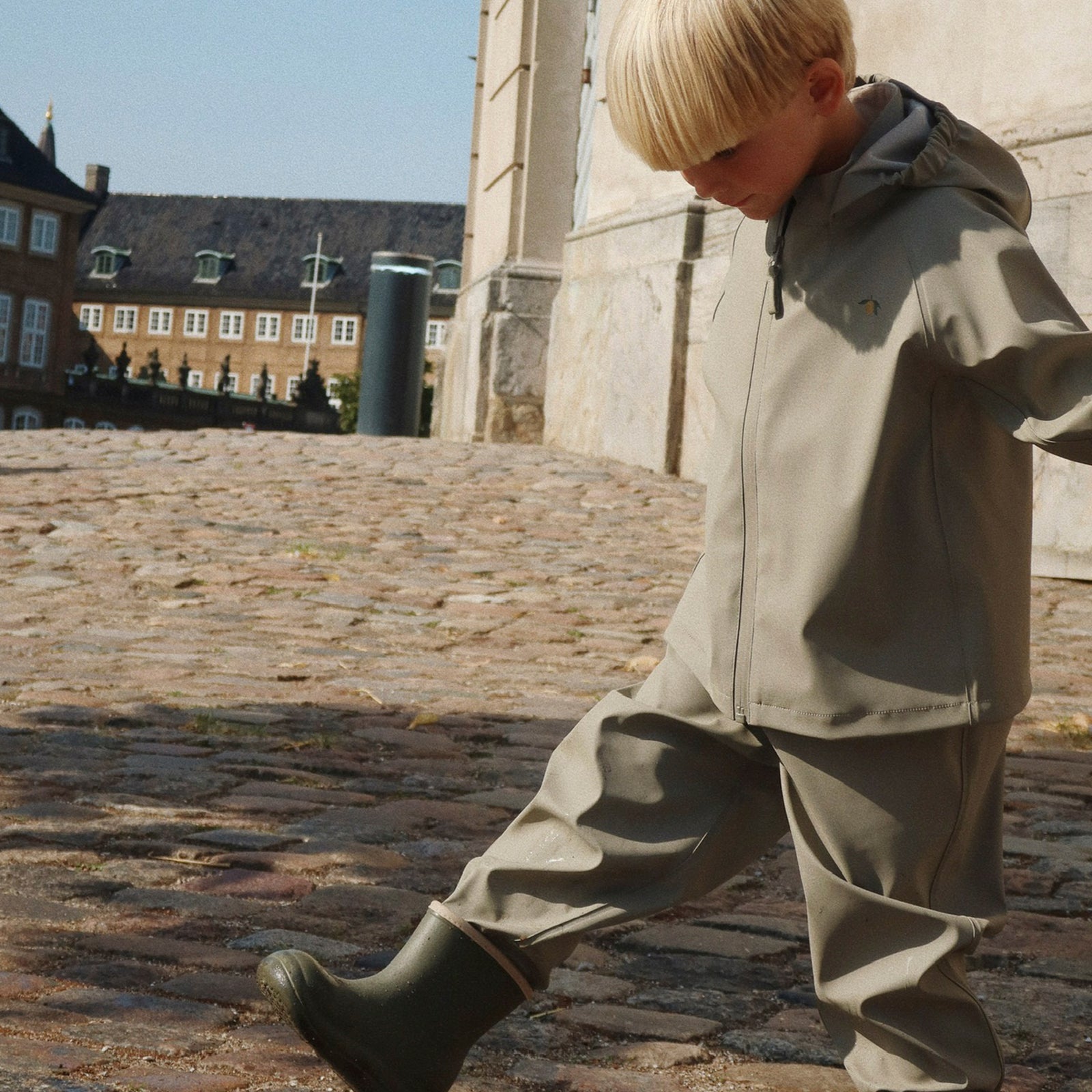 Rain set Plainy Laurel Oak