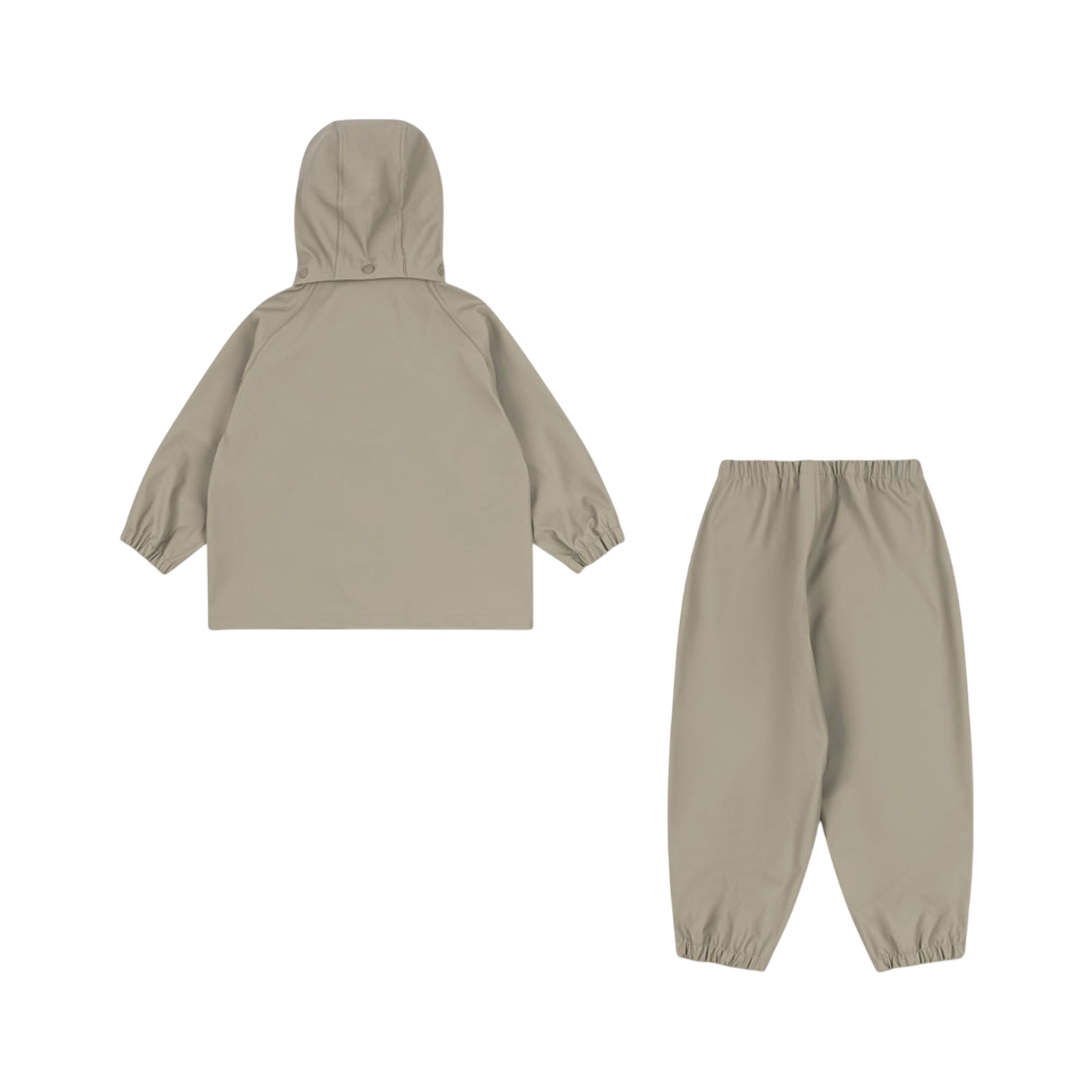 Rain set Plainy Laurel Oak