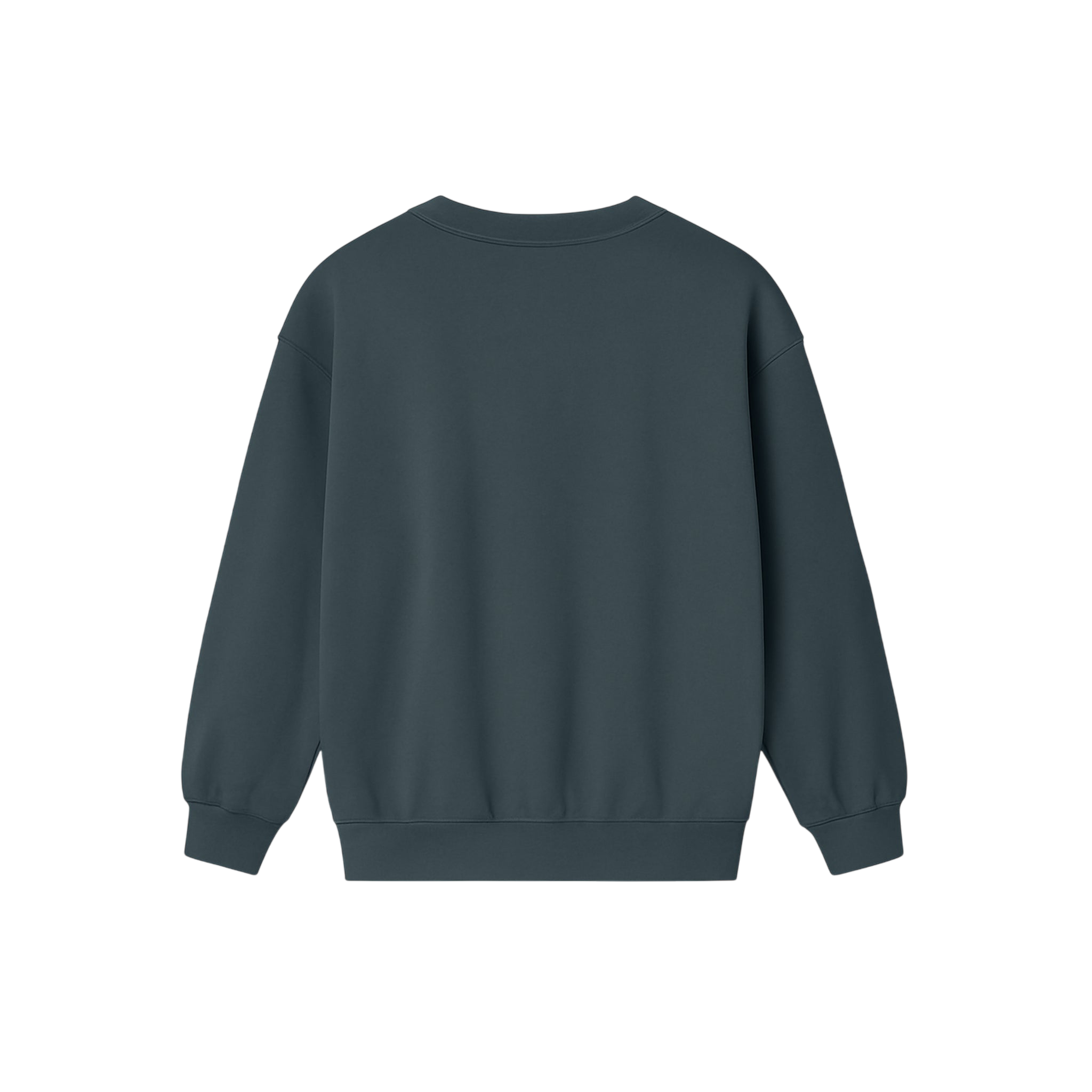 Sweat-shirt New Fit Blue Grey